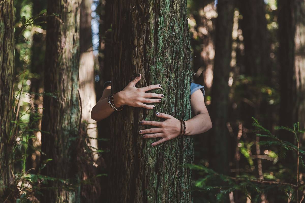 Emotional Healing: 7 Proven Ways to Avoid Painful Wellness Mistakes